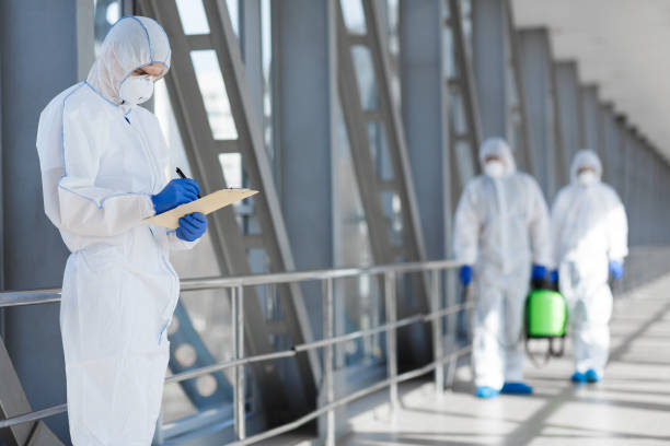 Best Black Mold Removal  in Heceta Beach, OR