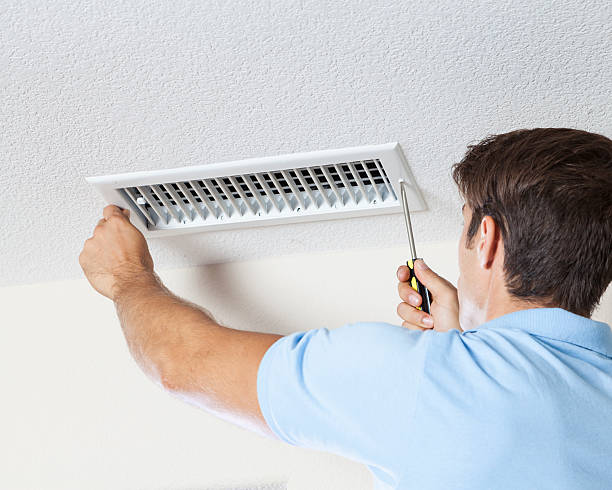 Best Mold Odor Removal Services  in Heceta Beach, OR
