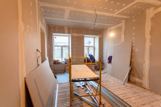 Best Basement Mold Removal  in Heceta Beach, OR